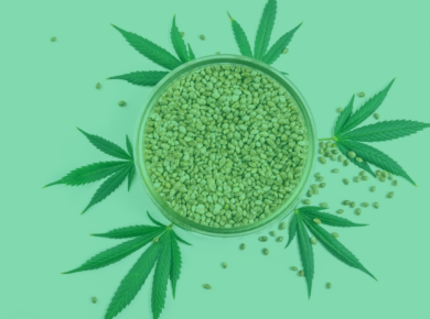 Do I need a License to Sell Hemp Seeds in Tennessee?| Kush.com