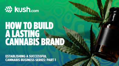 How to Build a Lasting Cannabis Brand| Kush.com