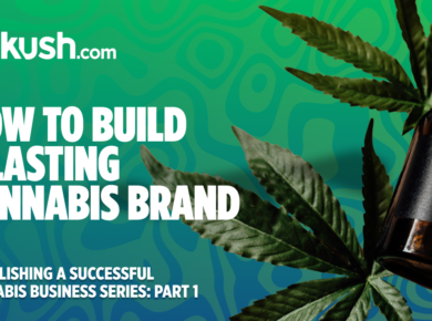 How to Build a Lasting Cannabis Brand| Kush.com